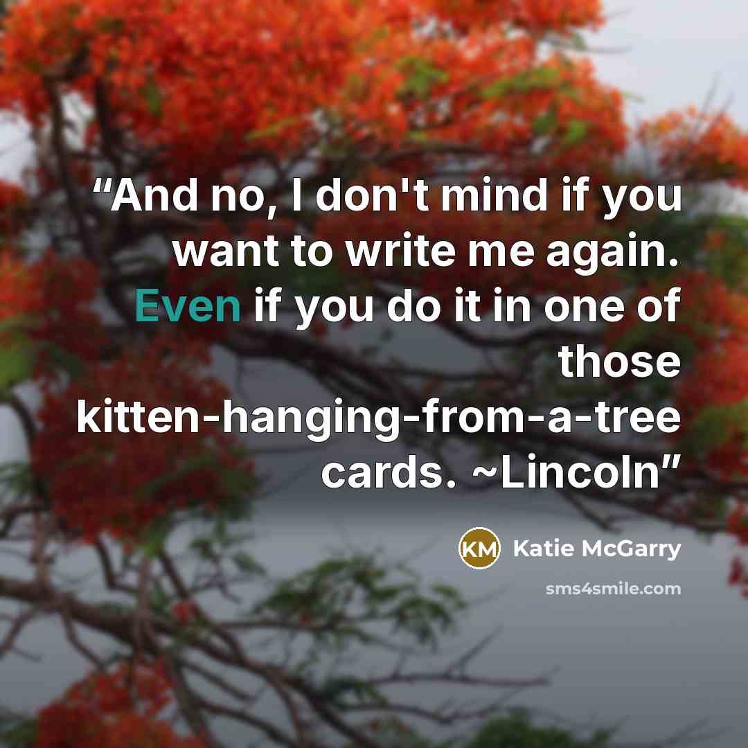 “And no, I don't mind if you want to write me again. Even if you do it in one of those kitten-hanging-from-a-tree cards. ~Lincoln” quote by Katie McGarry