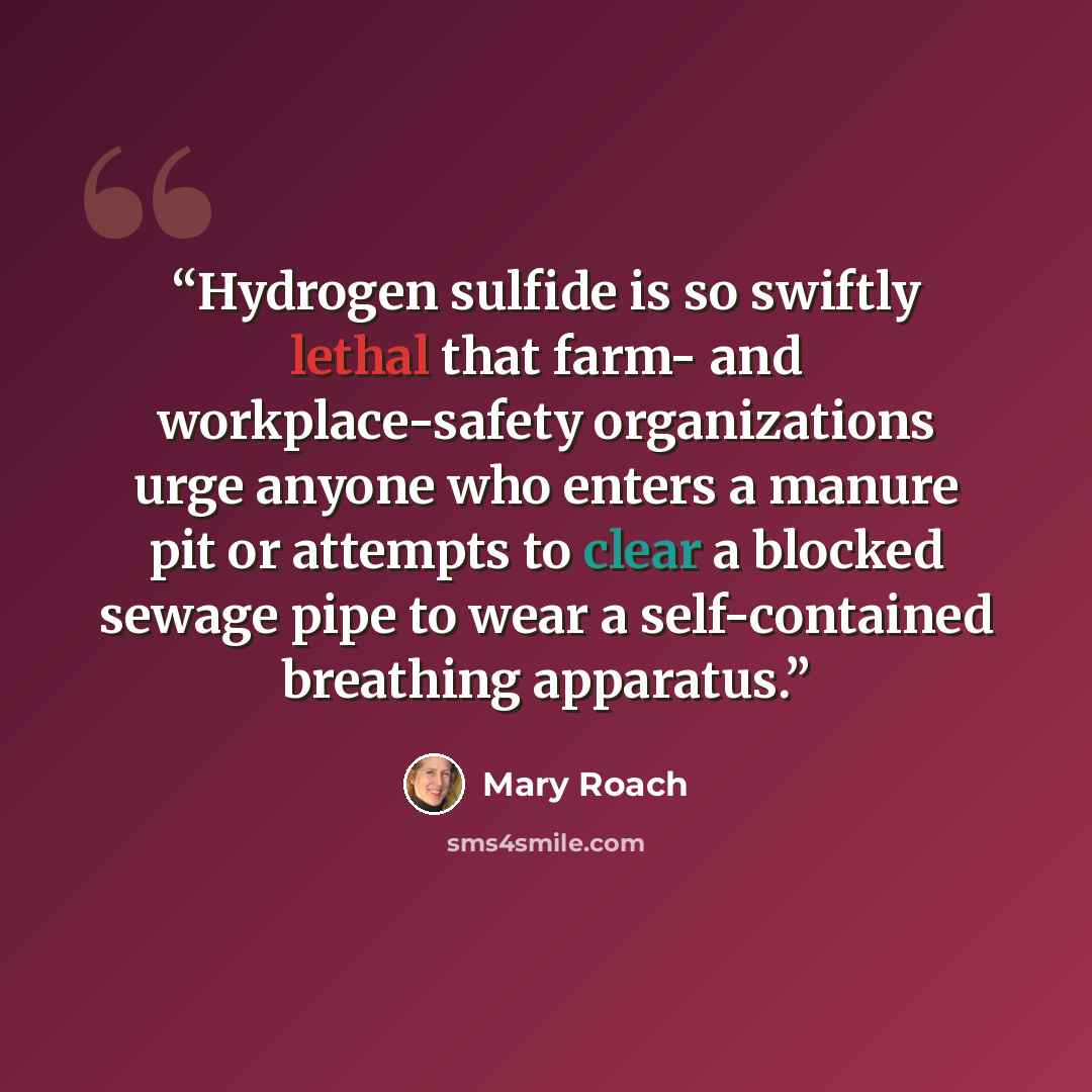 “Hydrogen sulfide is so swiftly lethal that farm- and workplace-safety organizations urge anyone who enters a manure pit or attempts to clear a blocked sewage pipe to wear a self-contained breathing apparatus.” quote by Mary Roach
