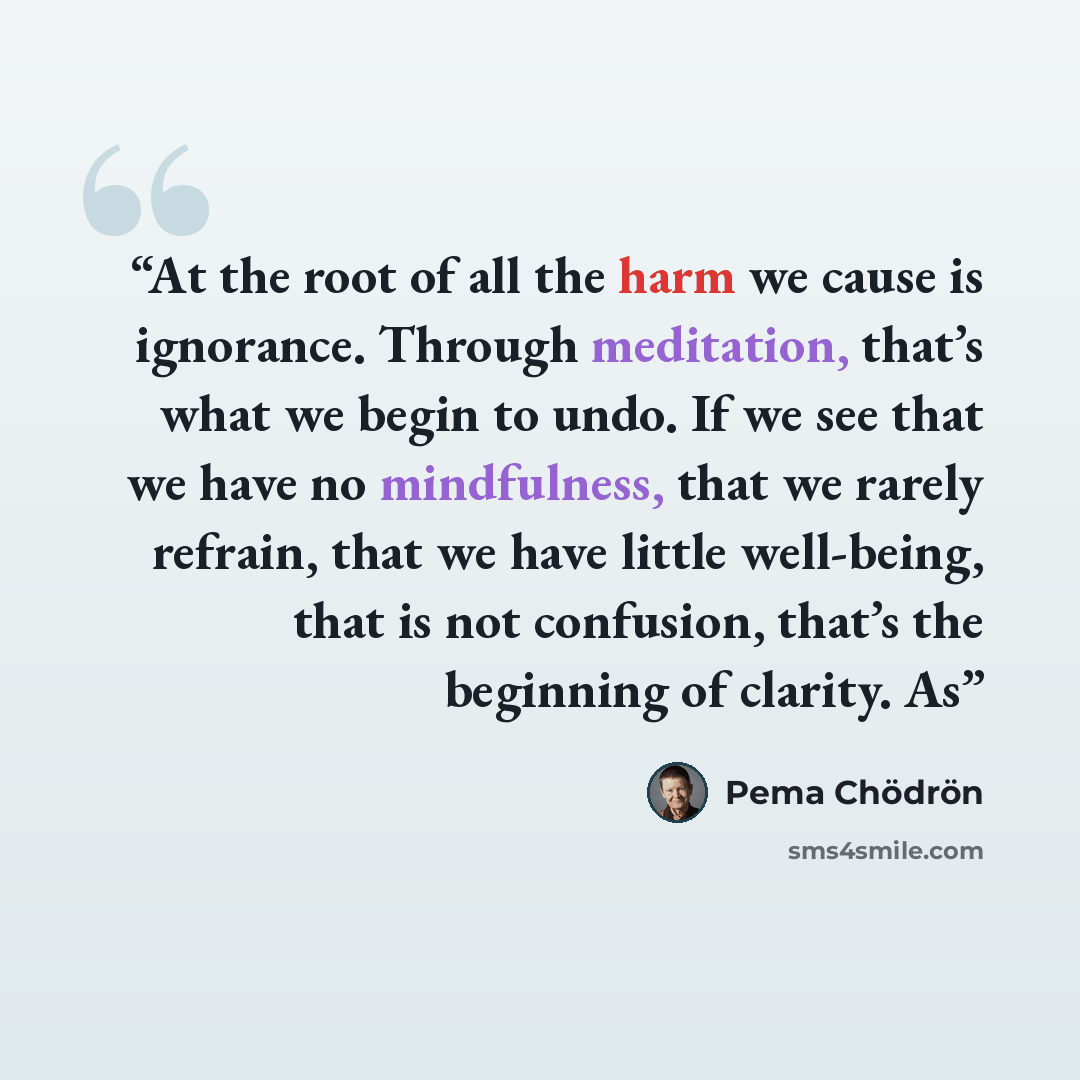 “At the root of all the harm we cause is ignorance. Through meditation, that’s what we begin to undo. If we see that we have no mindfulness, that we rarely refrain, that we have little well-being, that is not confusion, that’s the beginning of clarity. As” quote by Pema Chödrön