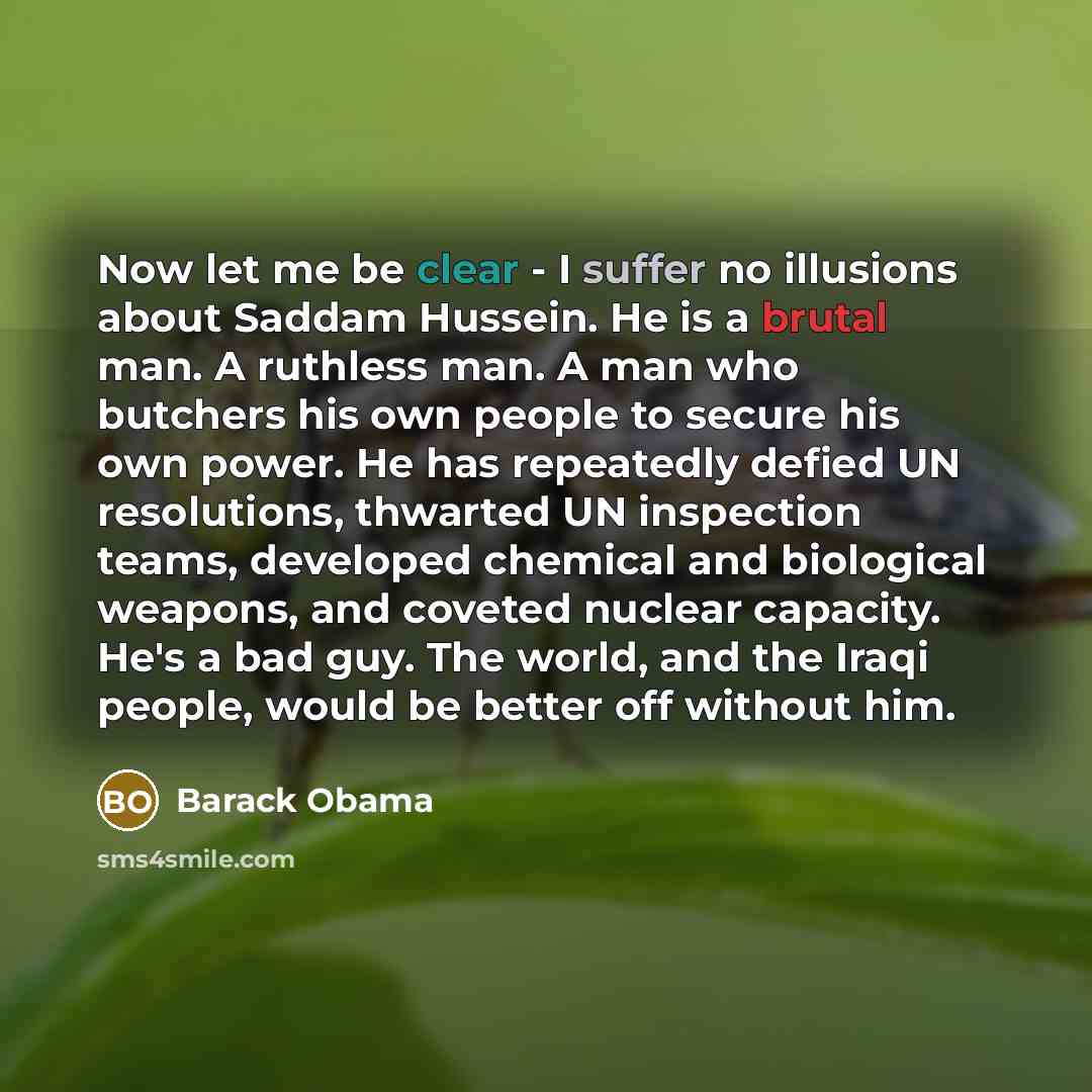 “Now let me be clear - I suffer no illusions about Saddam Hussein. He is a brutal man. A ruthless man. A man who butchers his own people to secure his own power. He has repeatedly defied UN resolutions, thwarted UN inspection teams, developed chemical and biological weapons, and coveted nuclear…” quote by Barack Obama