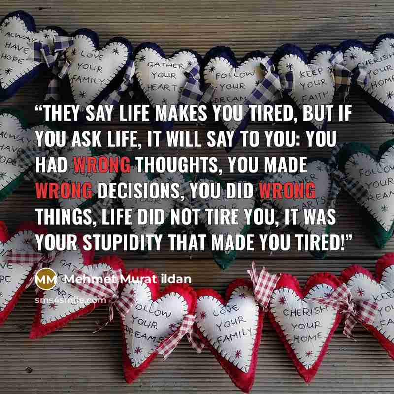 “They say life makes you tired, but if you ask life, it will say to you: You had wrong thoughts, you made wrong decisions, you did wrong things, life did not tire you, it was your stupidity that made you tired!” quote by Mehmet Murat ildan