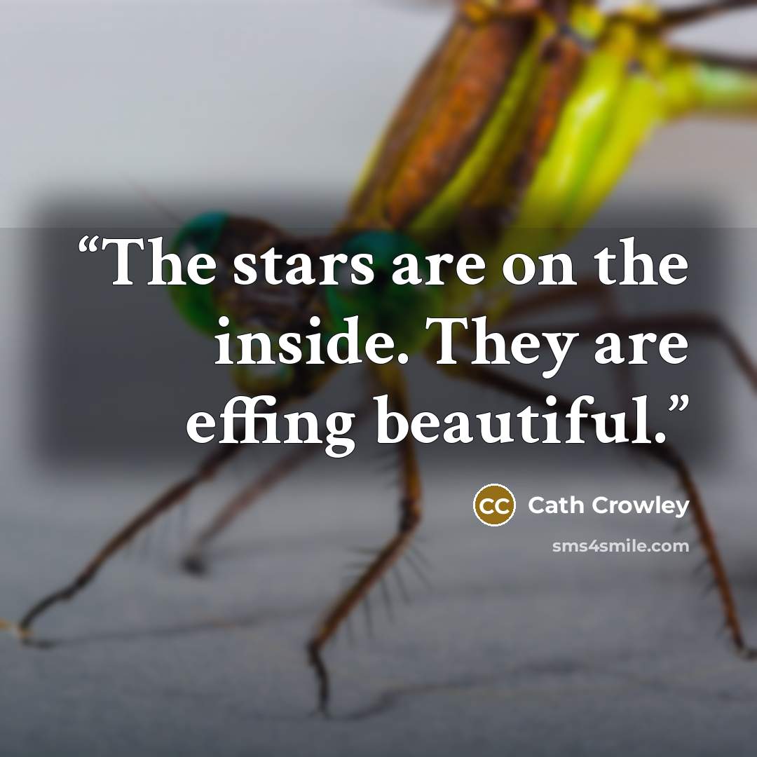 “The stars are on the inside. They are effing beautiful.” quote by Cath Crowley