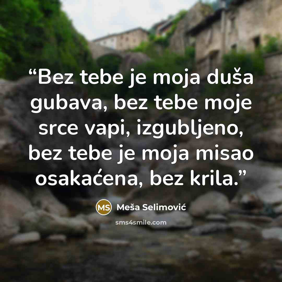 “Bez tebe je moja duša gubava, bez tebe moje srce vapi, izgubljeno, bez tebe je moja misao osakaćena, bez krila.” quote by Meša Selimović