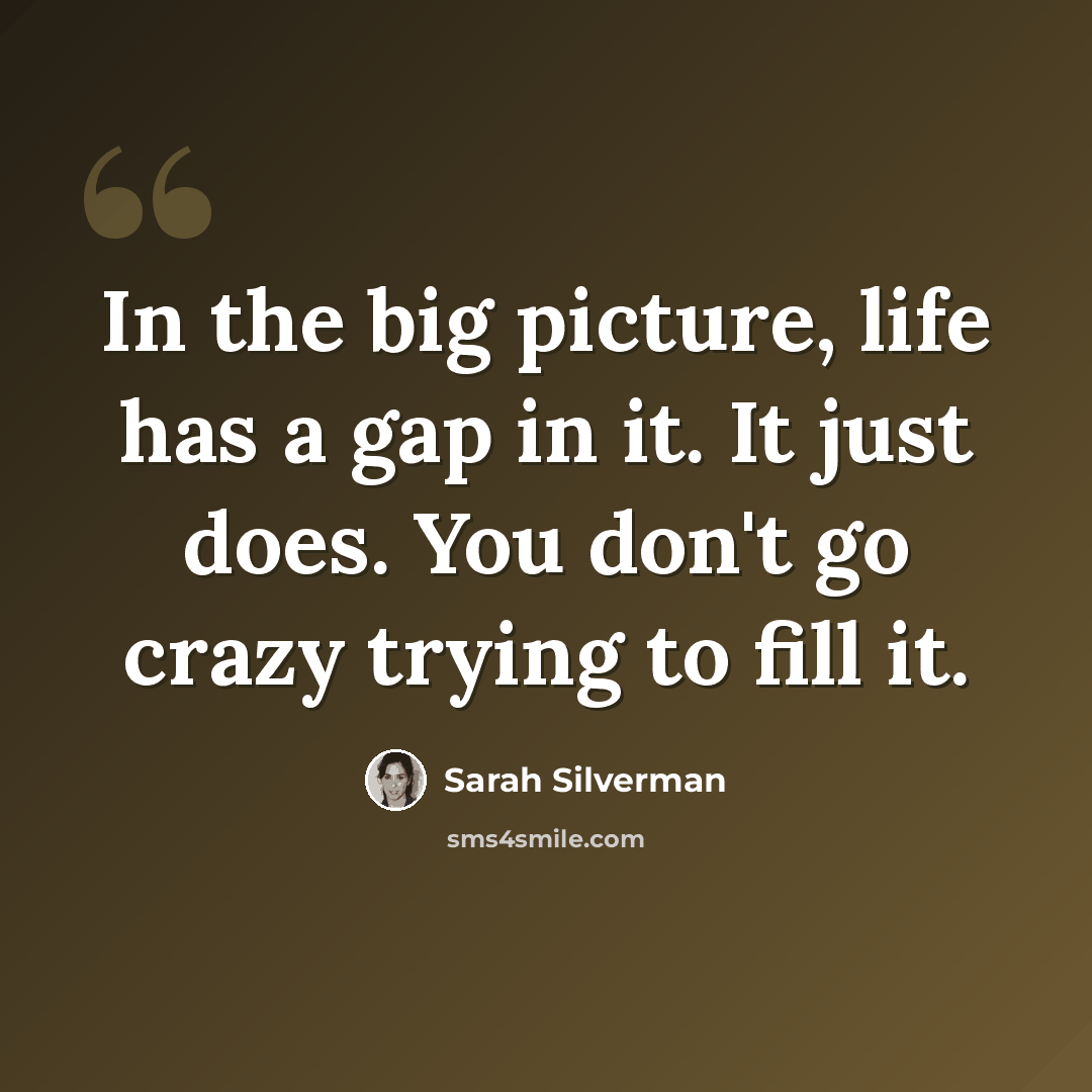 “In the big picture, life has a gap in it. It just does. You don't go crazy trying to fill it.” quote by Sarah Silverman