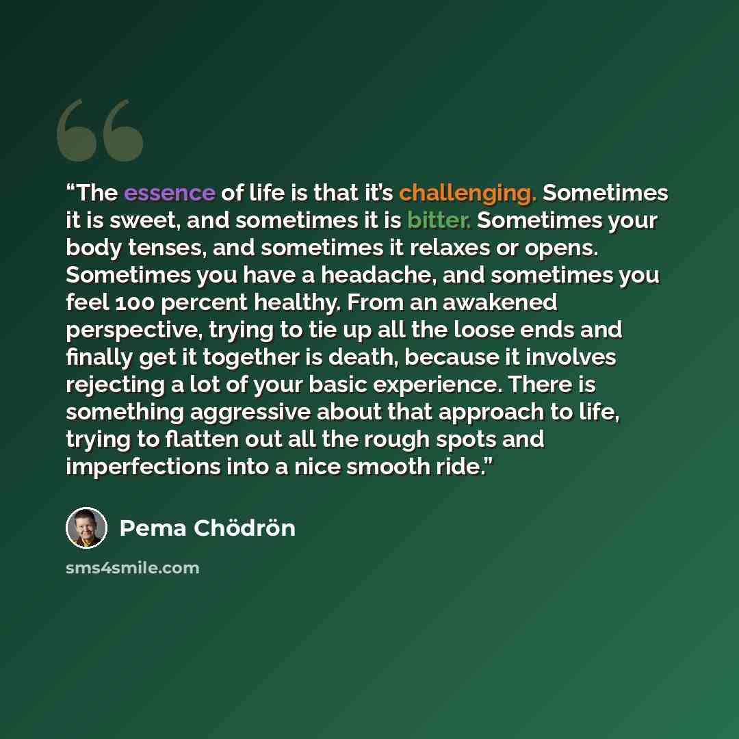 “The essence of life is that it’s challenging. Sometimes it is sweet, and sometimes it is bitter. Sometimes your body tenses, and sometimes it relaxes or opens. Sometimes you have a headache, and sometimes you feel 100 percent healthy. From an awakened perspective, trying to tie up all the loose…” quote by Pema Chödrön