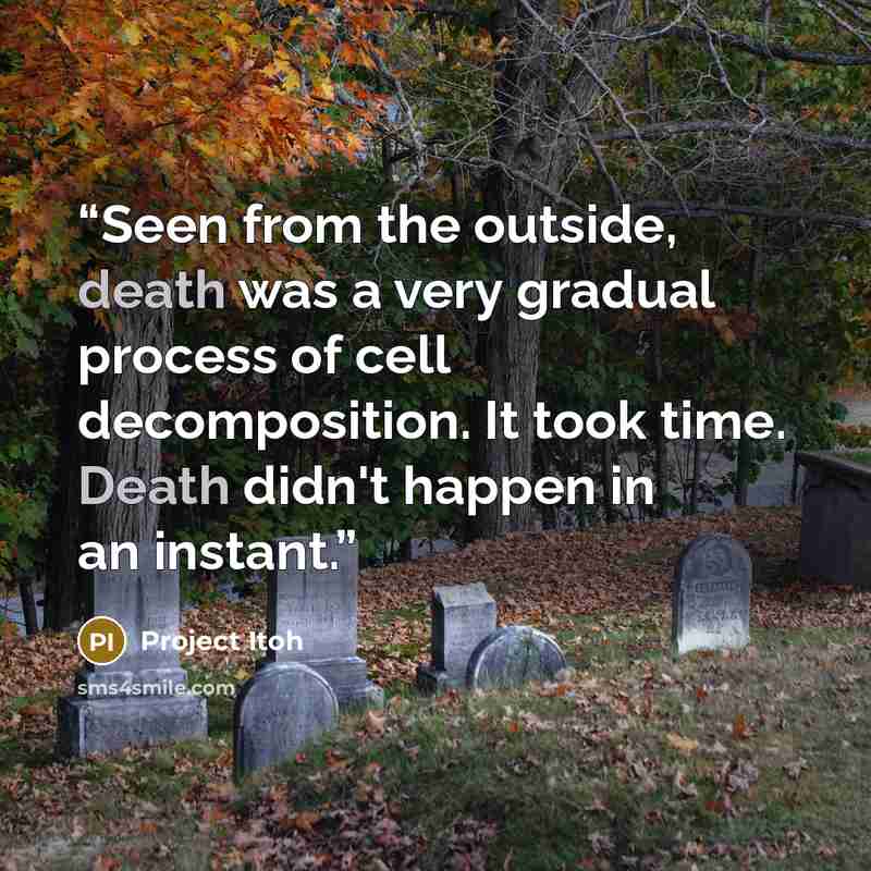 “Seen from the outside, death was a very gradual process of cell decomposition. It took time. Death didn't happen in an instant.” quote by Project Itoh