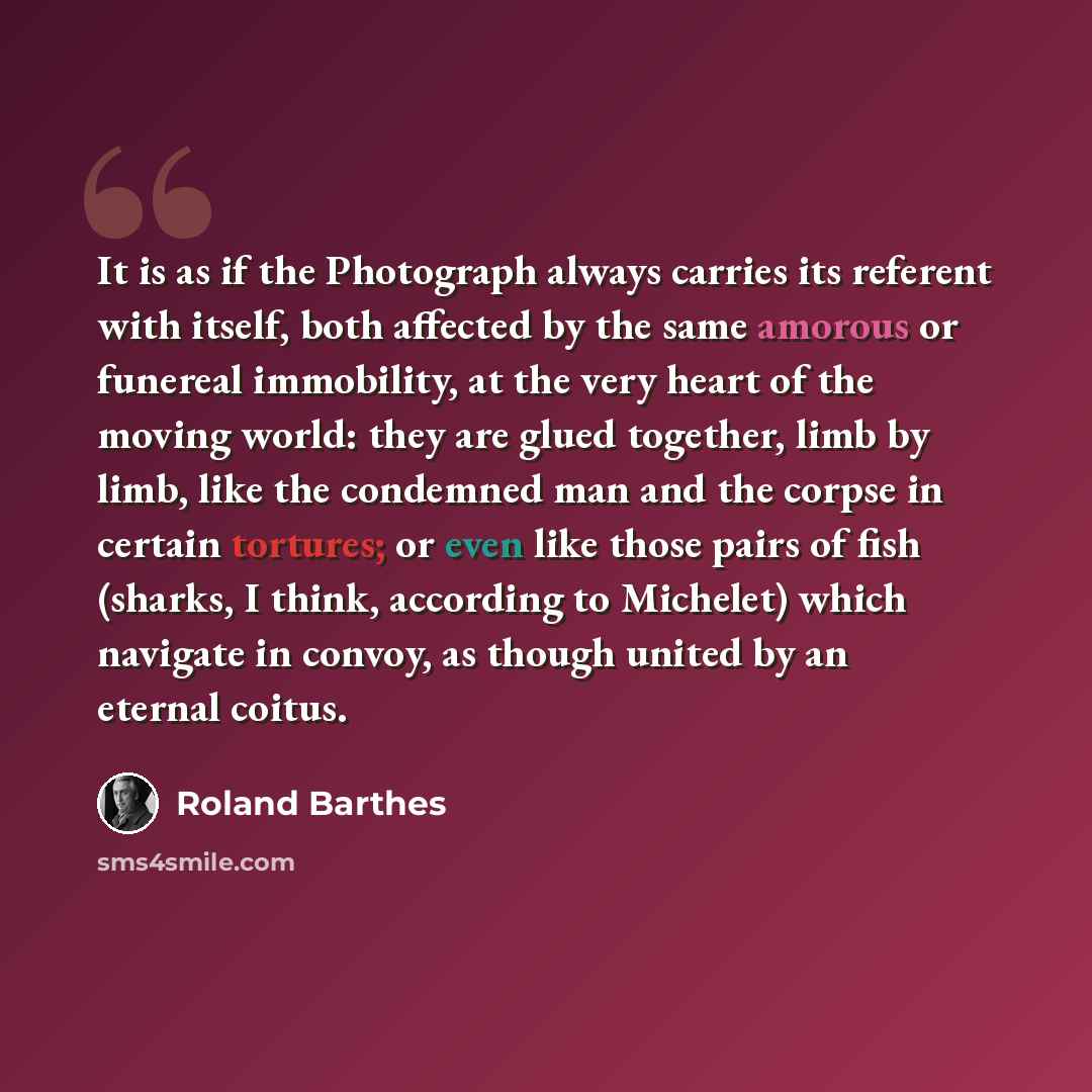 “It is as if the Photograph always carries its referent with itself, both affected by the same amorous or funereal immobility, at the very heart of the moving world: they are glued together, limb by limb, like the condemned man and the corpse in certain tortures; or even like those pairs of fish…” quote by Roland Barthes