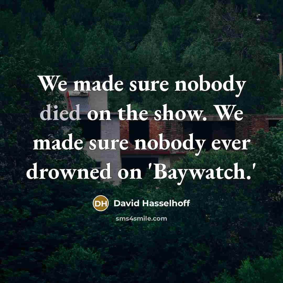 “We made sure nobody died on the show. We made sure nobody ever drowned on 'Baywatch.'” quote by David Hasselhoff