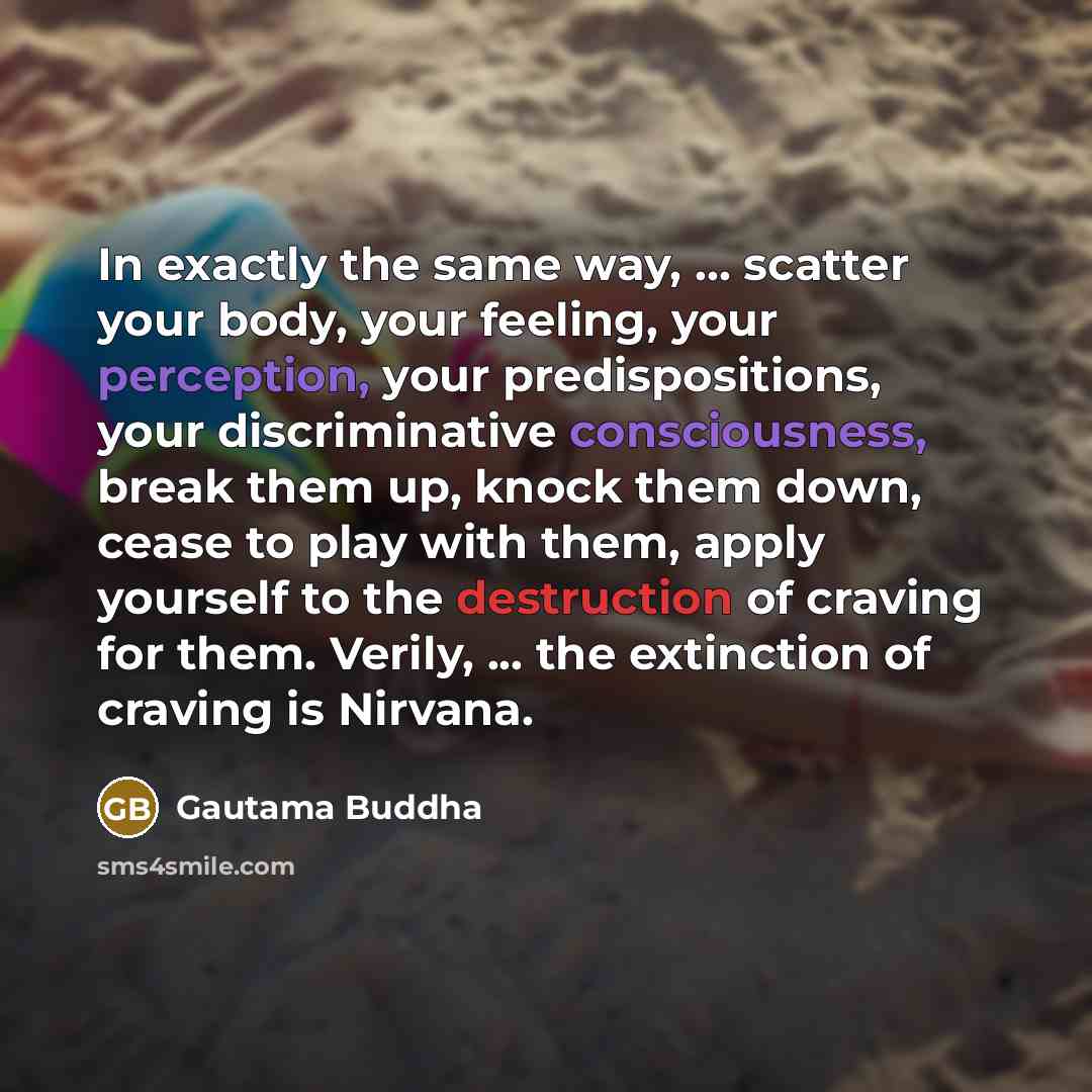 “In exactly the same way, ... scatter your body, your feeling, your perception, your predispositions, your discriminative consciousness, break them up, knock them down, cease to play with them, apply yourself to the destruction of craving for them. Verily, ... the extinction of craving is Nirvana.” quote by Gautama Buddha