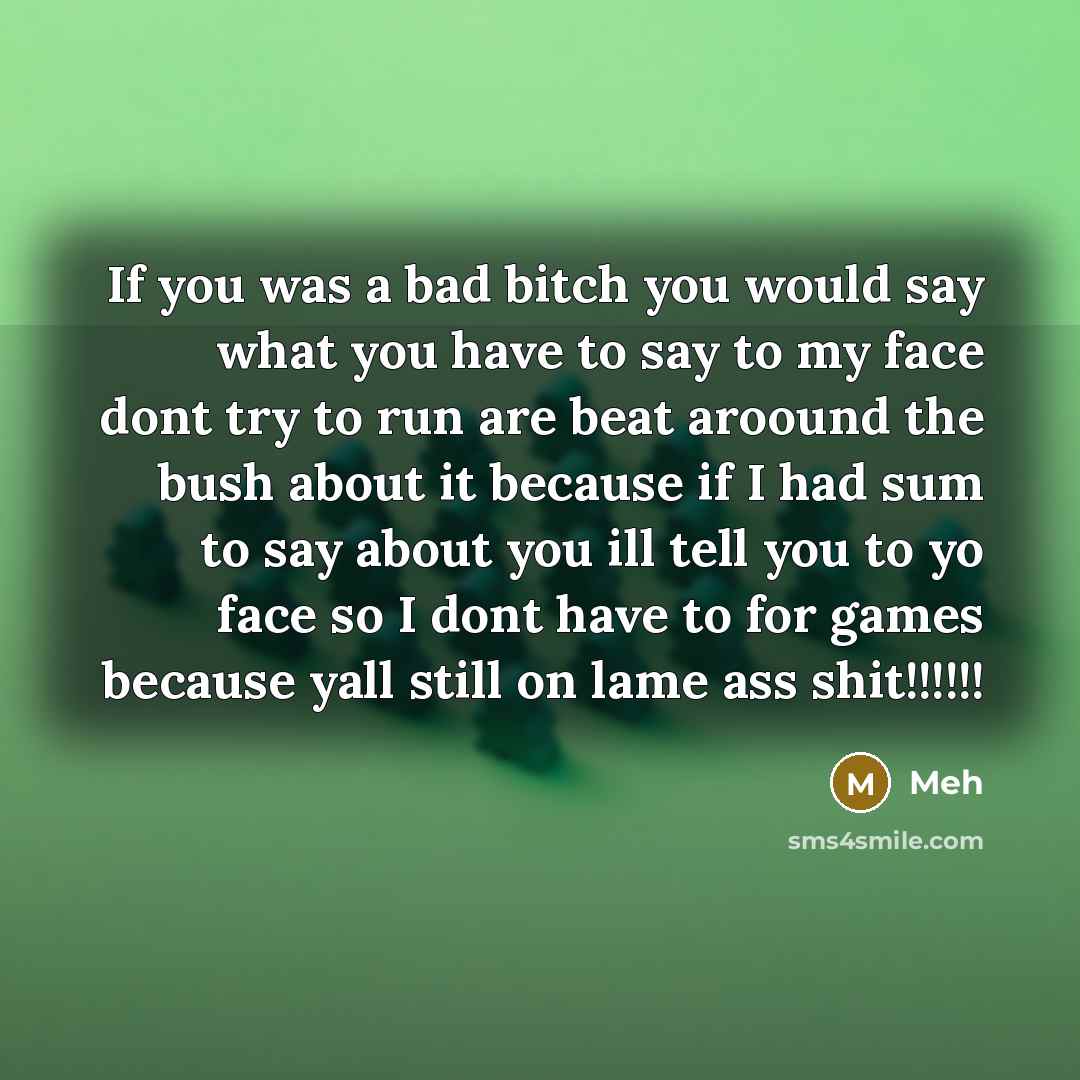 “If you was a bad bitch you would say what you have to say to my face dont try to run are beat aroound the bush about it because if I had sum to say about you ill tell you to yo face so I dont have to for games because yall still on lame ass shit!!!!!!” quote by Meh