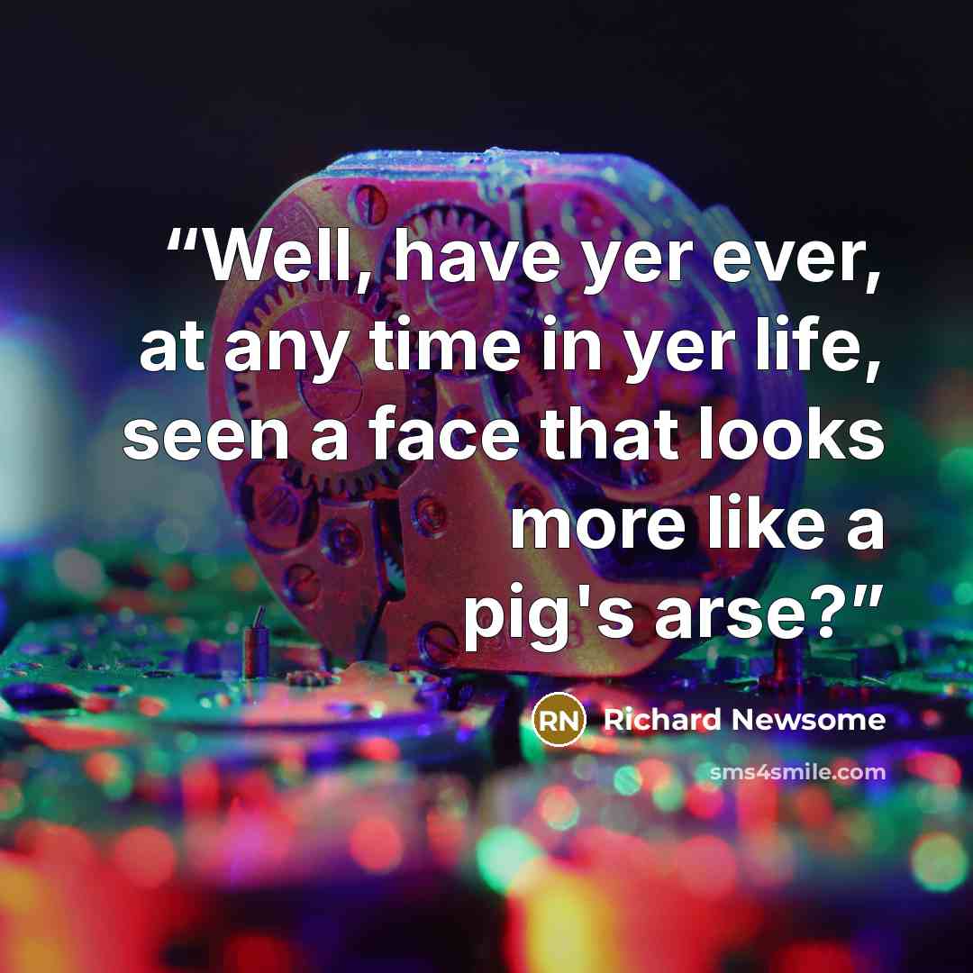 “Well, have yer ever, at any time in yer life, seen a face that looks more like a pig's arse?” quote by Richard Newsome