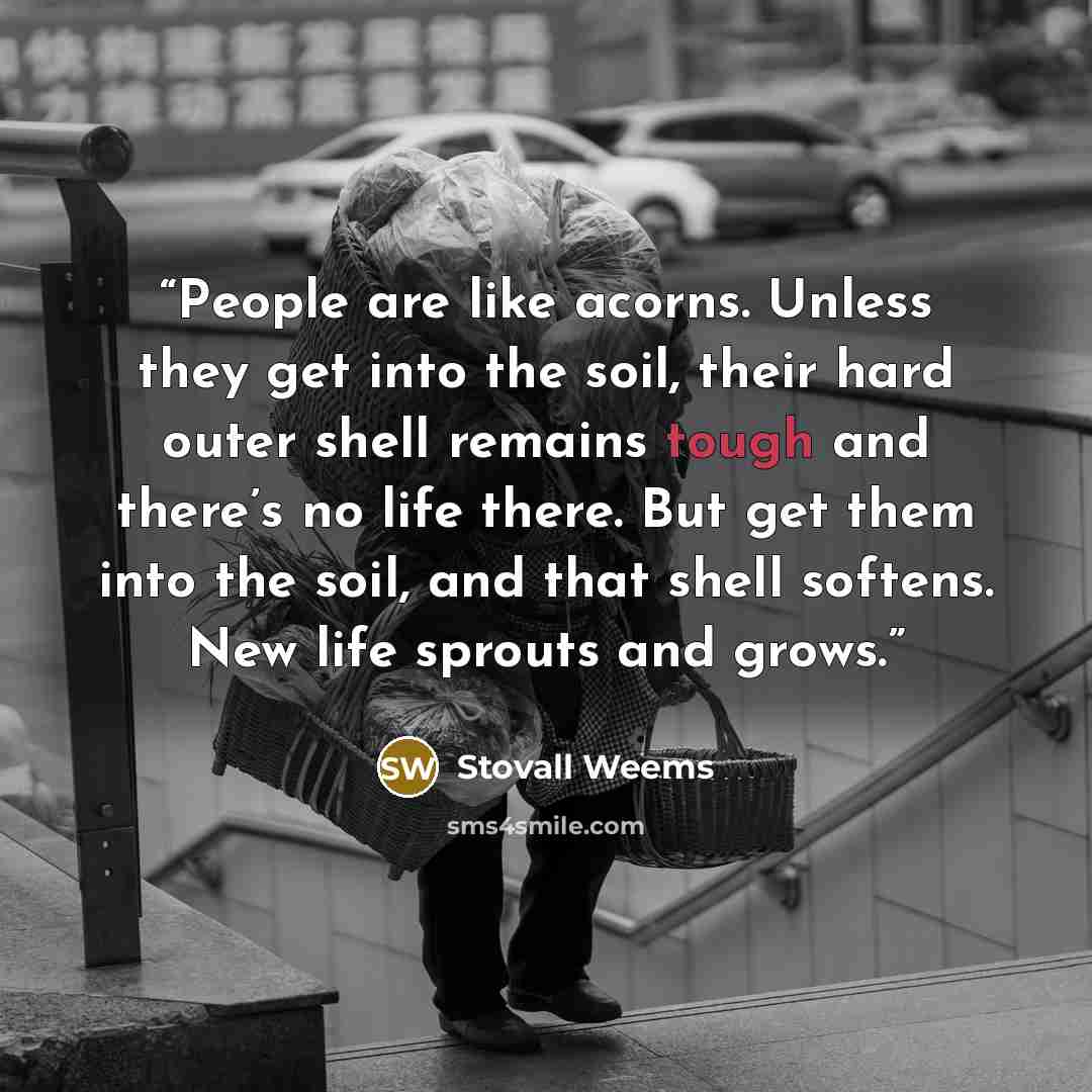 “People are like acorns. Unless they get into the soil, their hard outer shell remains tough and there’s no life there. But get them into the soil, and that shell softens. New life sprouts and grows.” quote by Stovall Weems