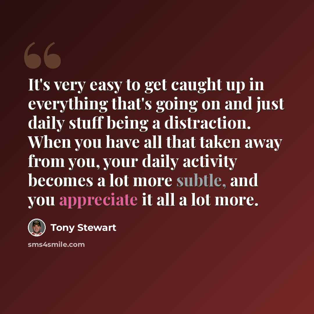 “It's very easy to get caught up in everything that's going on and just daily stuff being a distraction. When you have all that taken away from you, your daily activity becomes a lot more subtle, and you appreciate it all a lot more.” quote by Tony Stewart
