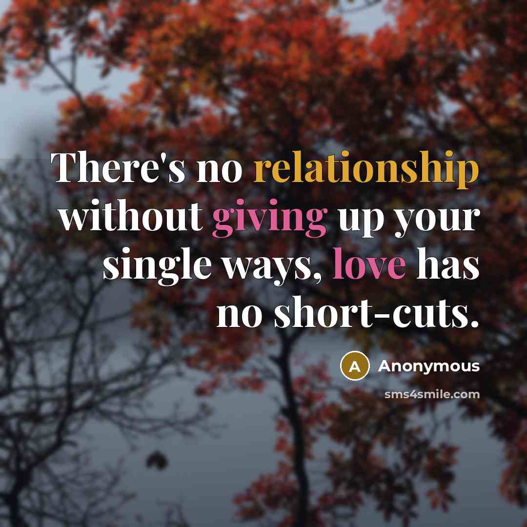 “There's no relationship without giving up your single ways, love has no short-cuts.” quote by Anonymous