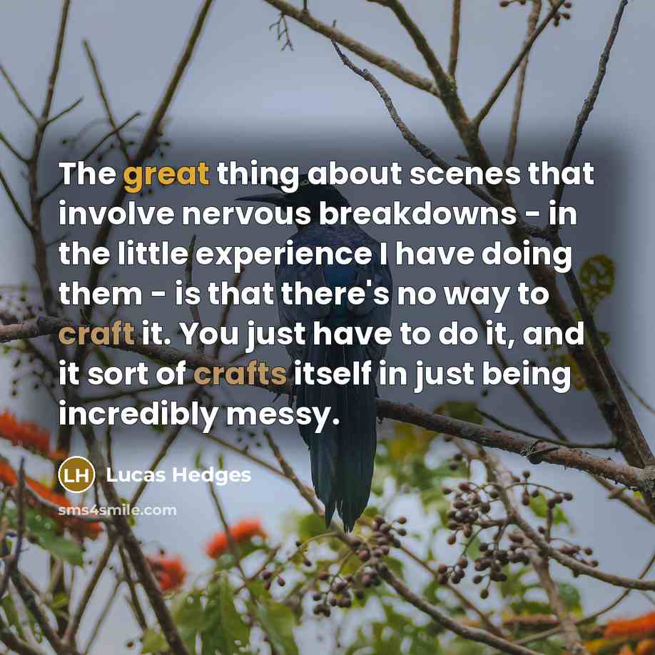 “The great thing about scenes that involve nervous breakdowns - in the little experience I have doing them - is that there's no way to craft it. You just have to do it, and it sort of crafts itself in just being incredibly messy.” quote by Lucas Hedges