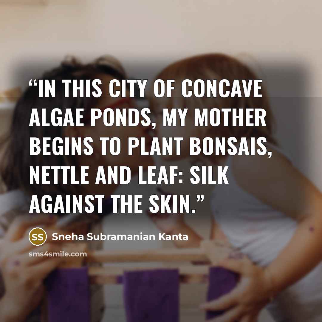 “In this city of concave algae ponds, my mother begins to plant bonsais, nettle and leaf: silk against the skin.” quote by Sneha Subramanian Kanta