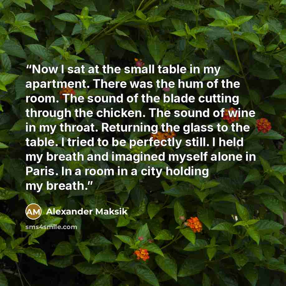 “Now I sat at the small table in my apartment. There was the hum of the room. The sound of the blade cutting through the chicken. The sound of wine in my throat. Returning the glass to the table. I tried to be perfectly still. I held my breath and imagined myself alone in Paris. In a room in a city…” quote by Alexander Maksik