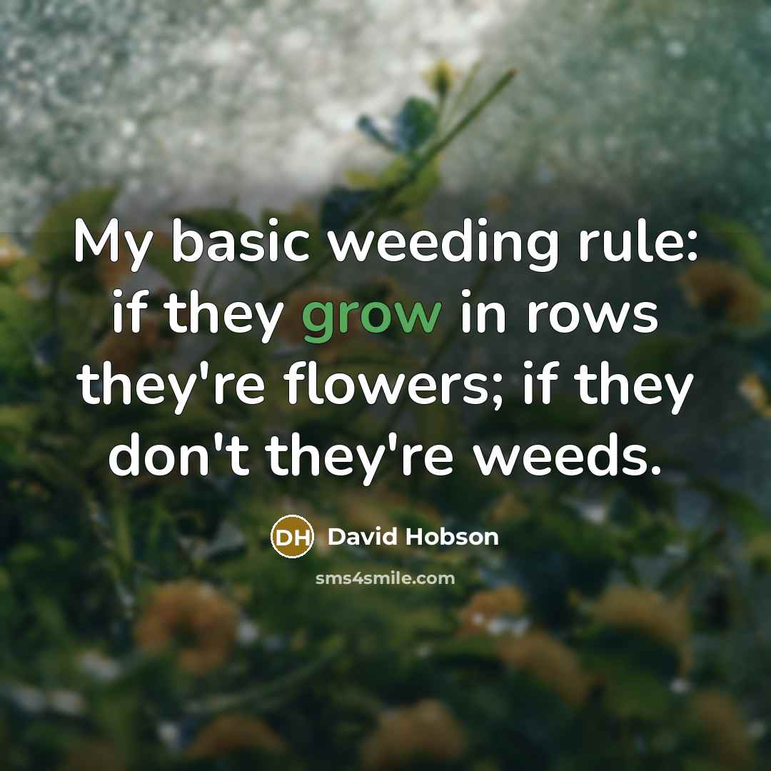 “My basic weeding rule: if they grow in rows they're flowers; if they don't they're weeds.” quote by David Hobson