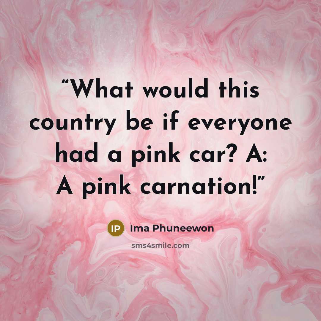 “What would this country be if everyone had a pink car? A: A pink carnation!” quote by Ima Phuneewon