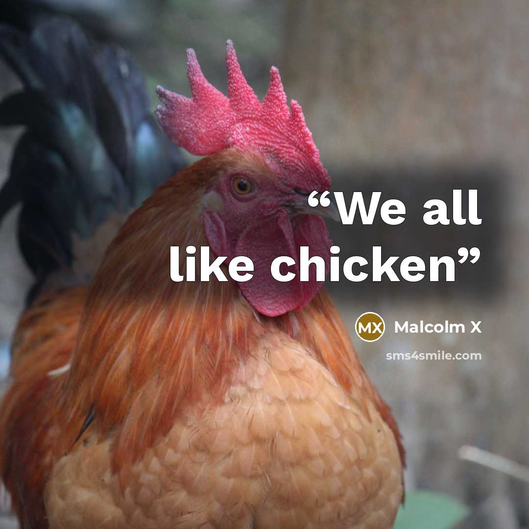 “We all like chicken” quote by Malcolm X