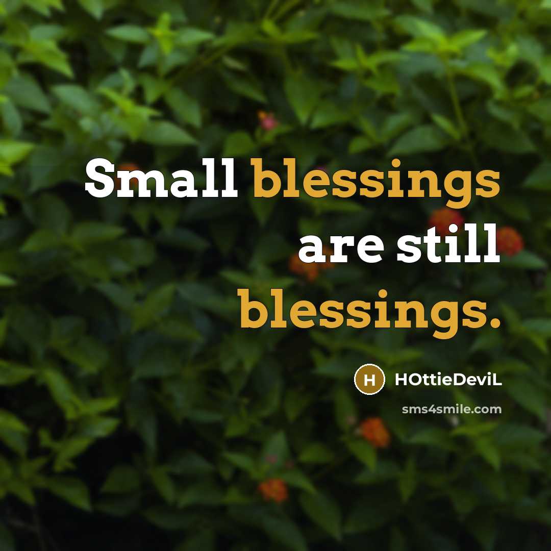 “Small blessings are still blessings.” quote by HOttieDeviL