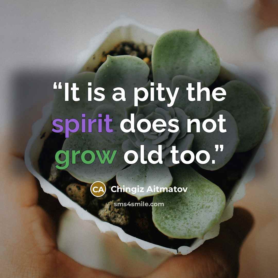 “It is a pity the spirit does not grow old too.” quote by Chingiz Aitmatov