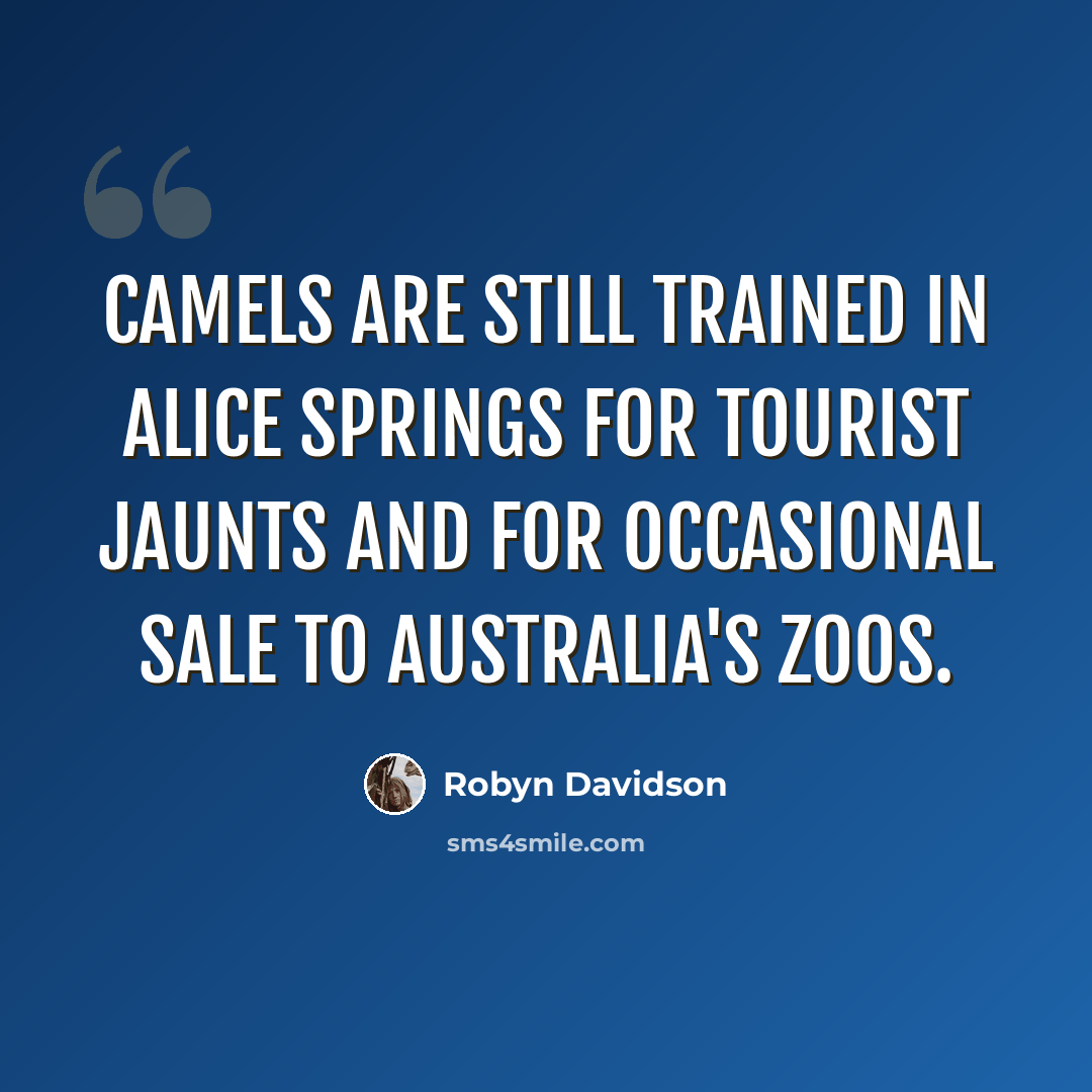“Camels are still trained in Alice Springs for tourist jaunts and for occasional sale to Australia's zoos.” quote by Robyn Davidson