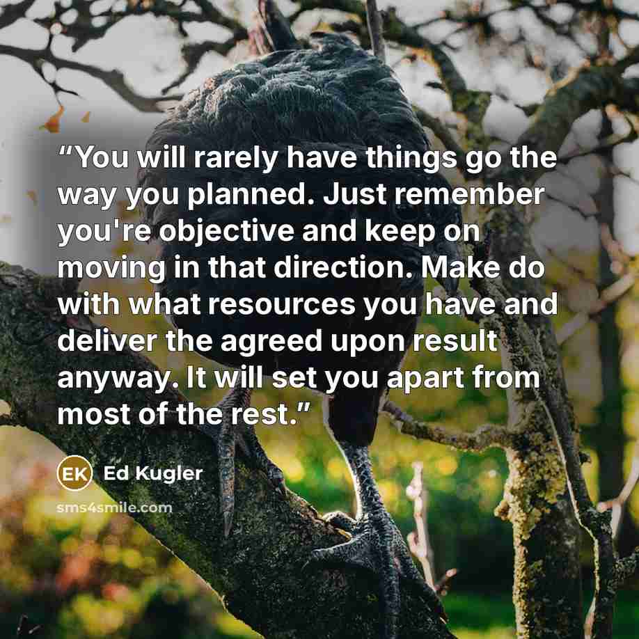 “You will rarely have things go the way you planned. Just remember you're objective and keep on moving in that direction. Make do with what resources you have and deliver the agreed upon result anyway. It will set you apart from most of the rest.” quote by Ed Kugler