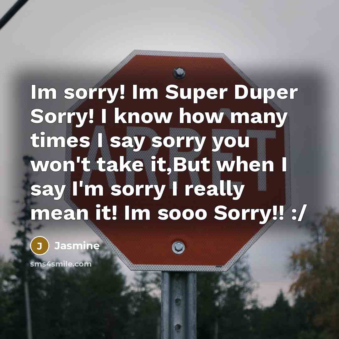 “Im sorry! Im Super Duper Sorry! I know how many times I say sorry you won't take it,But when I say I'm sorry I really mean it! Im sooo Sorry!! :/” quote by Jasmine
