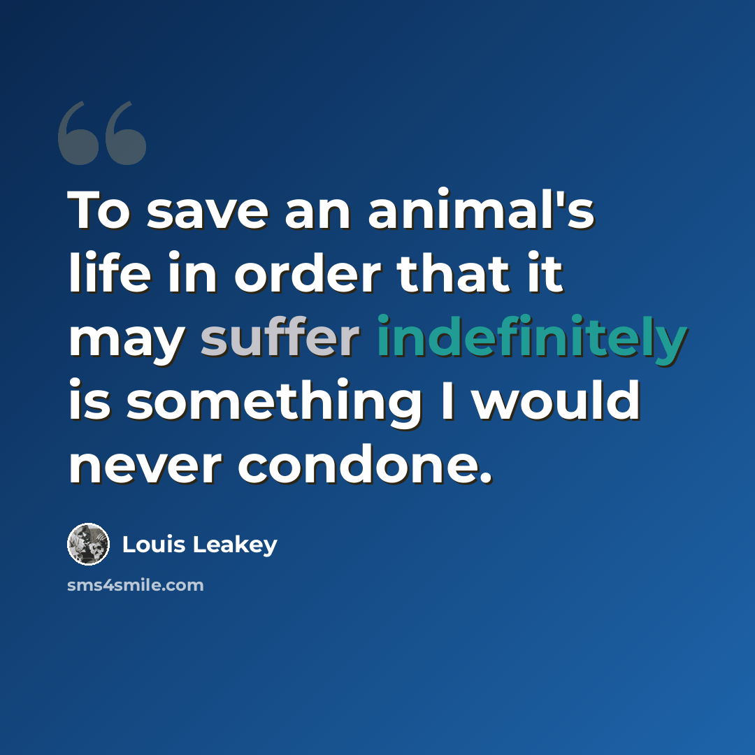 “To save an animal's life in order that it may suffer indefinitely is something I would never condone.” quote by Louis Leakey