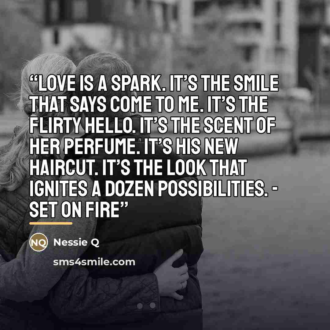 “Love is a spark. It’s the smile that says come to me. It’s the flirty hello. It’s the scent of her perfume. It’s his new haircut. It’s the look that ignites a dozen possibilities. - Set on Fire” quote by Nessie Q