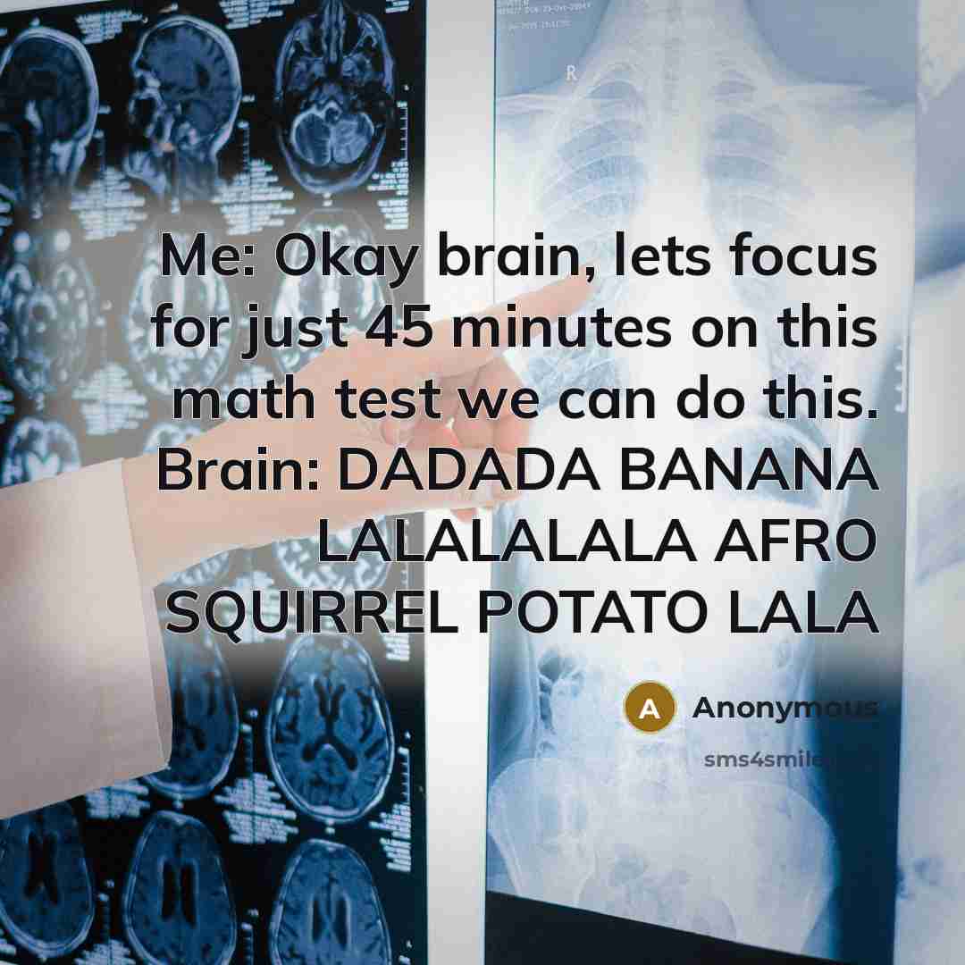 “Me: Okay brain, lets focus for just 45 minutes on this math test we can do this. Brain: DADADA BANANA LALALALALA AFRO SQUIRREL POTATO LALA” quote by Anonymous