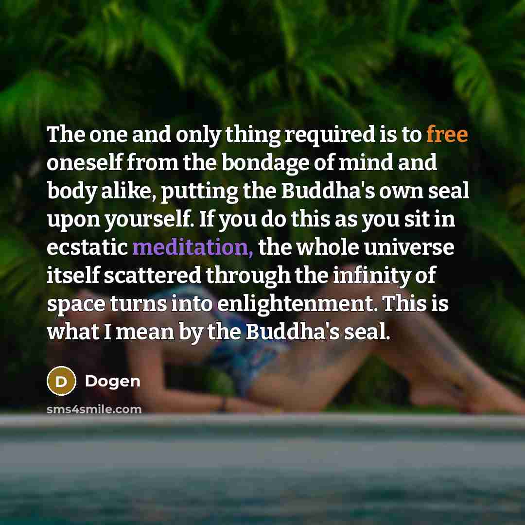 “The one and only thing required is to free oneself from the bondage of mind and body alike, putting the Buddha's own seal upon yourself. If you do this as you sit in ecstatic meditation, the whole universe itself scattered through the infinity of space turns into enlightenment. This is what I mean…” quote by Dogen
