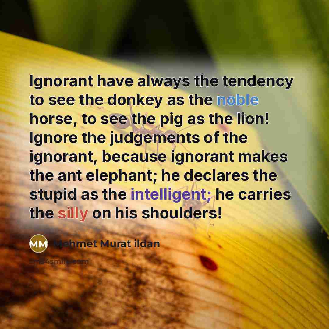 “Ignorant have always the tendency to see the donkey as the noble horse, to see the pig as the lion! Ignore the judgements of the ignorant, because ignorant makes the ant elephant; he declares the stupid as the intelligent; he carries the silly on his shoulders!” quote by Mehmet Murat Ildan