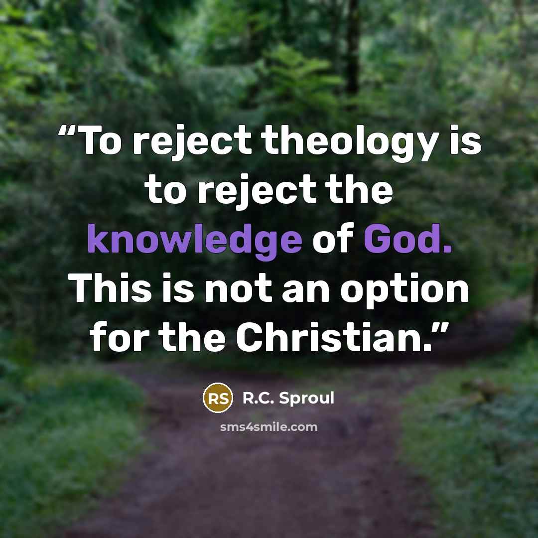 “To reject theology is to reject the knowledge of God. This is not an option for the Christian.” quote by R.C. Sproul