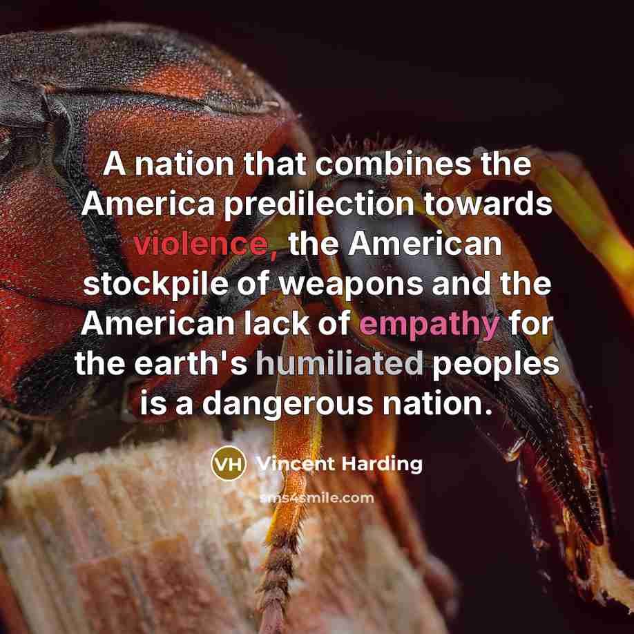“A nation that combines the America predilection towards violence, the American stockpile of weapons and the American lack of empathy for the earth's humiliated peoples is a dangerous nation.” quote by Vincent Harding