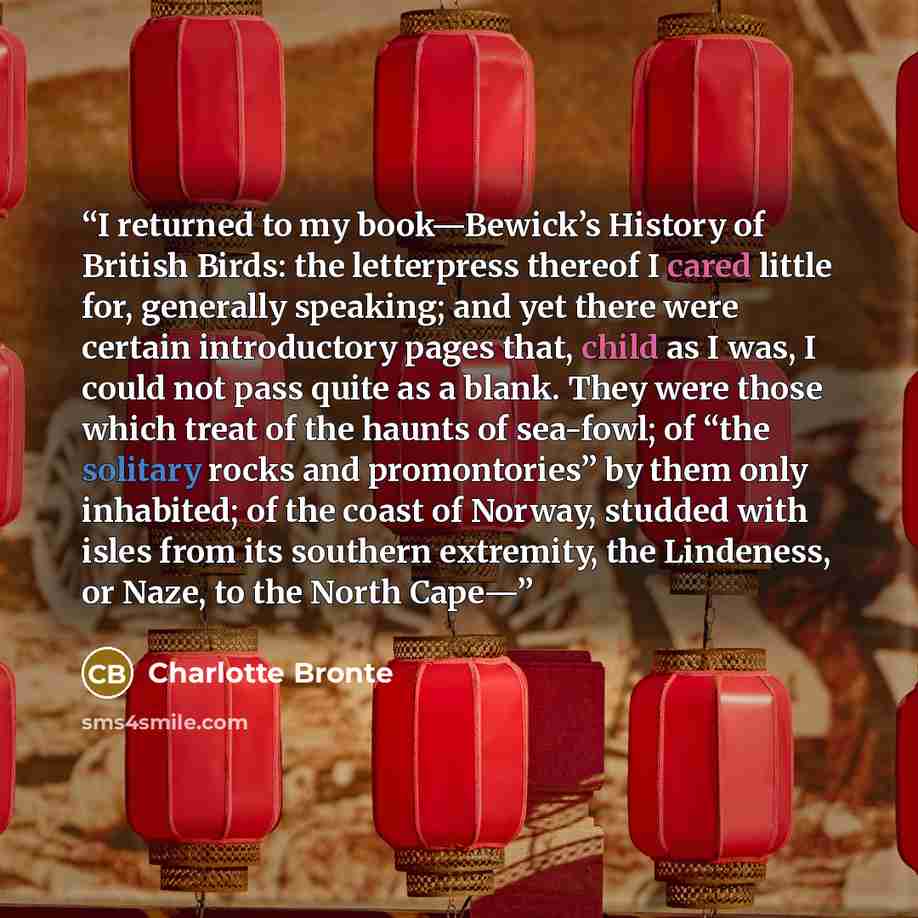“I returned to my book—Bewick’s History of British Birds: the letterpress thereof I cared little for, generally speaking; and yet there were certain introductory pages that, child as I was, I could not pass quite as a blank. They were those which treat of the haunts of sea-fowl; of “the solitary…” quote by Charlotte Brontë
