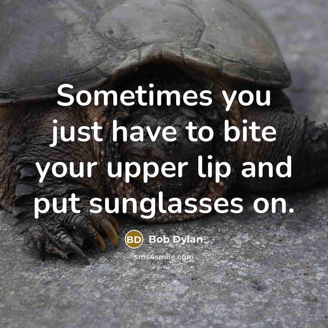 “Sometimes you just have to bite your upper lip and put sunglasses on.” quote by Bob Dylan