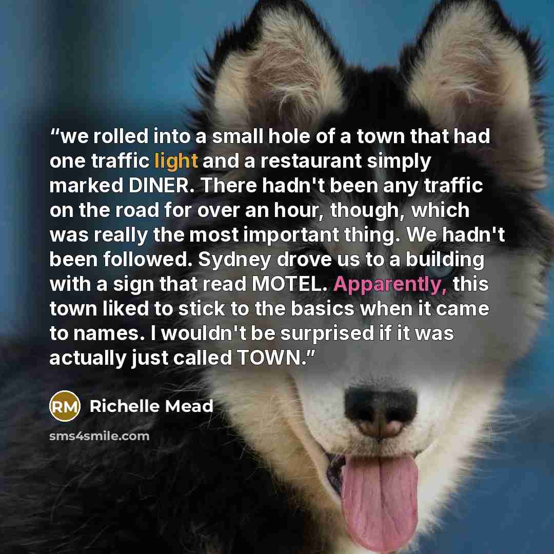 “we rolled into a small hole of a town that had one traffic light and a restaurant simply marked DINER. There hadn't been any traffic on the road for over an hour, though, which was really the most important thing. We hadn't been followed. Sydney drove us to a building with a sign that read MOTEL…” quote by Richelle Mead