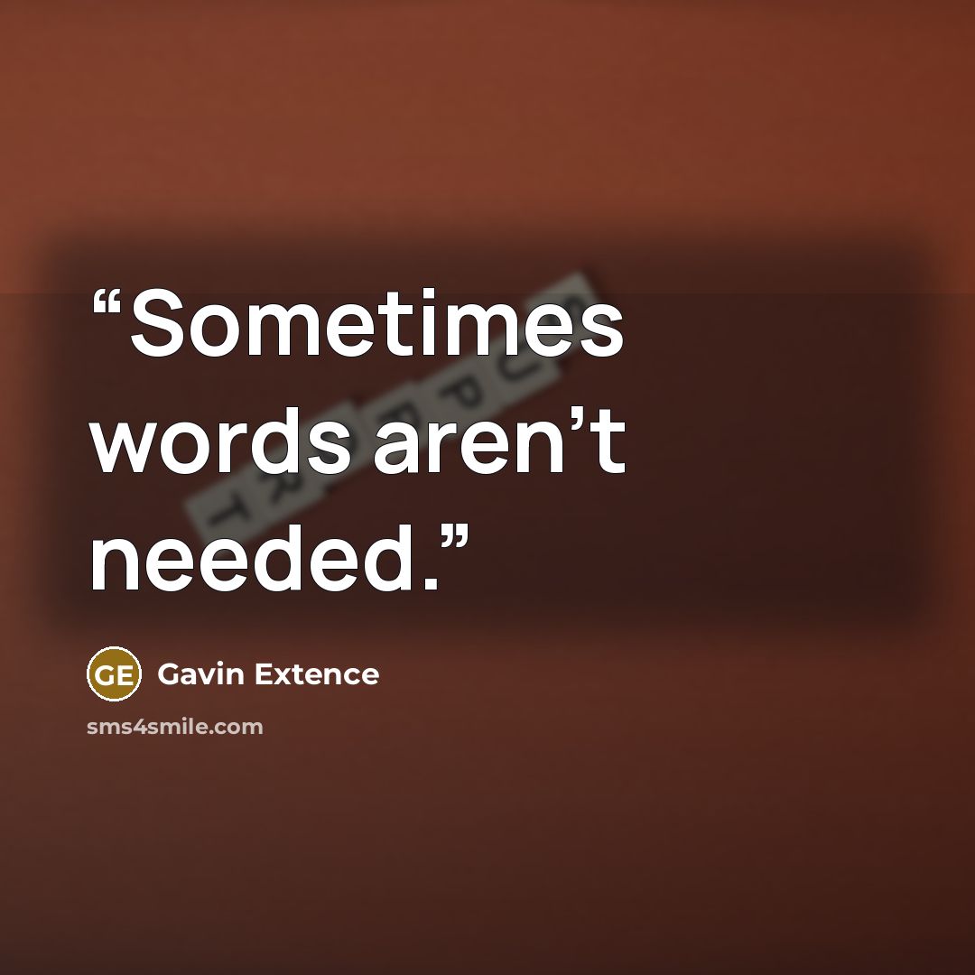 “Sometimes words aren't needed.” quote by Gavin Extence