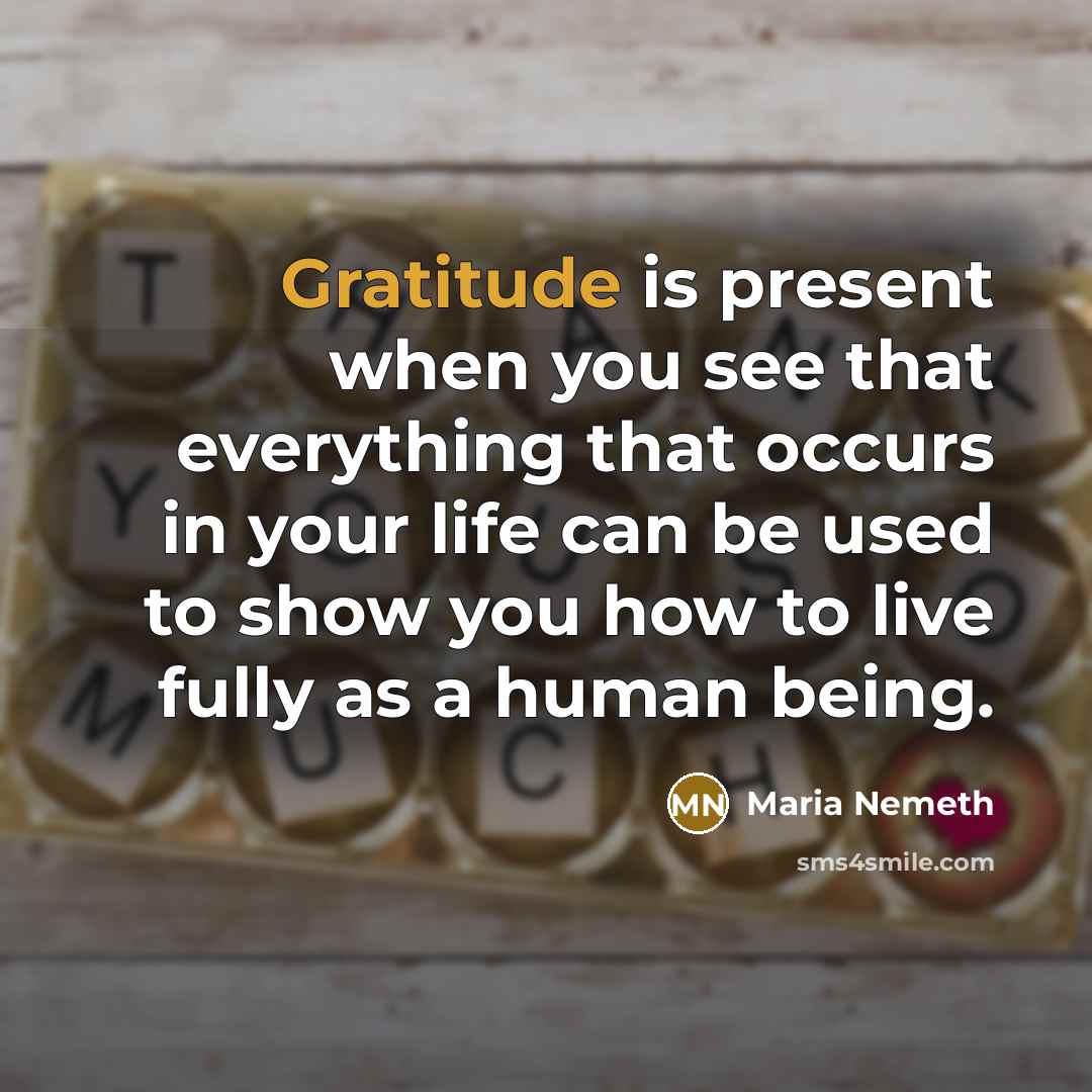 “Gratitude is present when you see that everything that occurs in your life can be used to show you how to live fully as a human being.” quote by Maria Nemeth