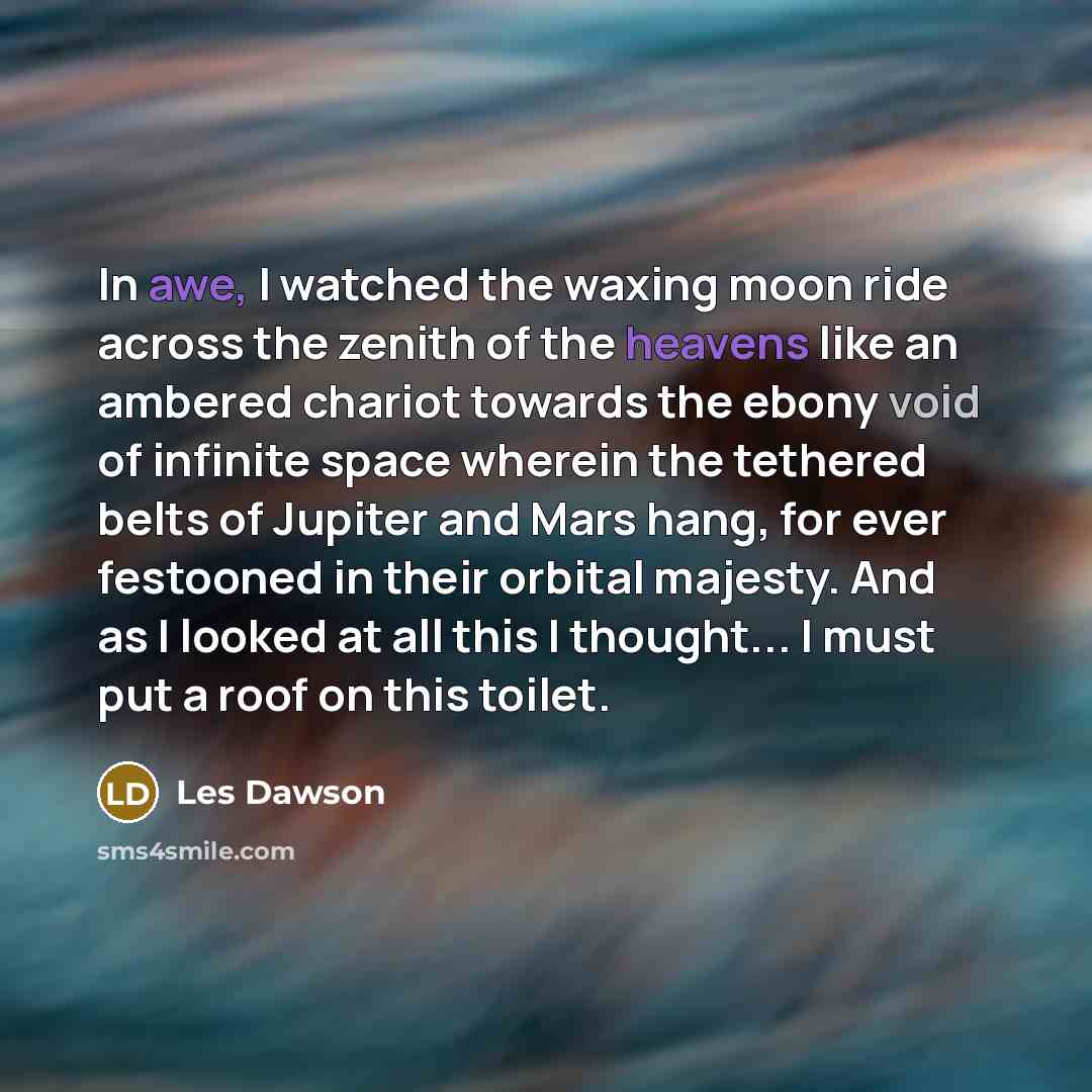 “In awe, I watched the waxing moon ride across the zenith of the heavens like an ambered chariot towards the ebony void of infinite space wherein the tethered belts of Jupiter and Mars hang, for ever festooned in their orbital majesty. And as I looked at all this I thought... I must put a roof on…” quote by Les Dawson