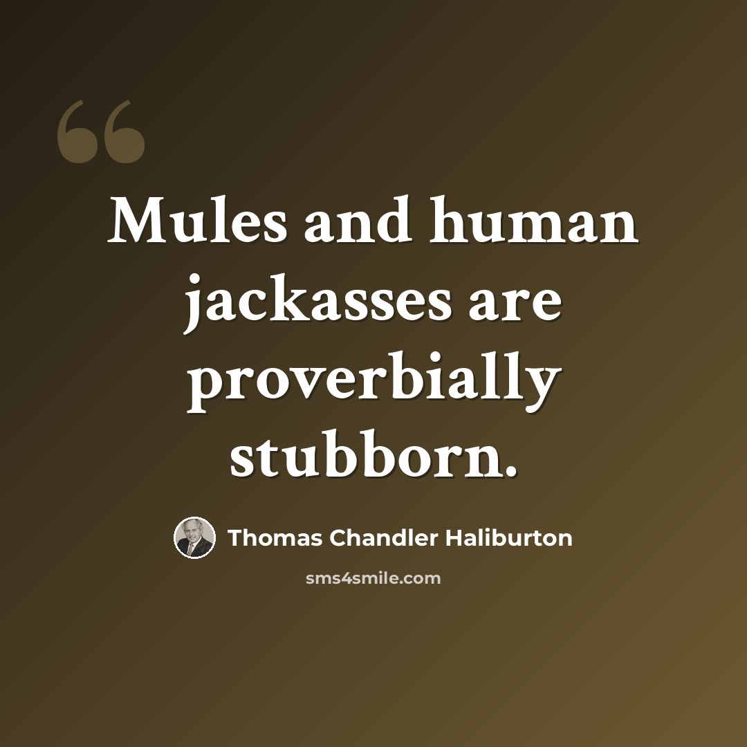 “Mules and human jackasses are proverbially stubborn.” quote by Thomas Chandler Haliburton