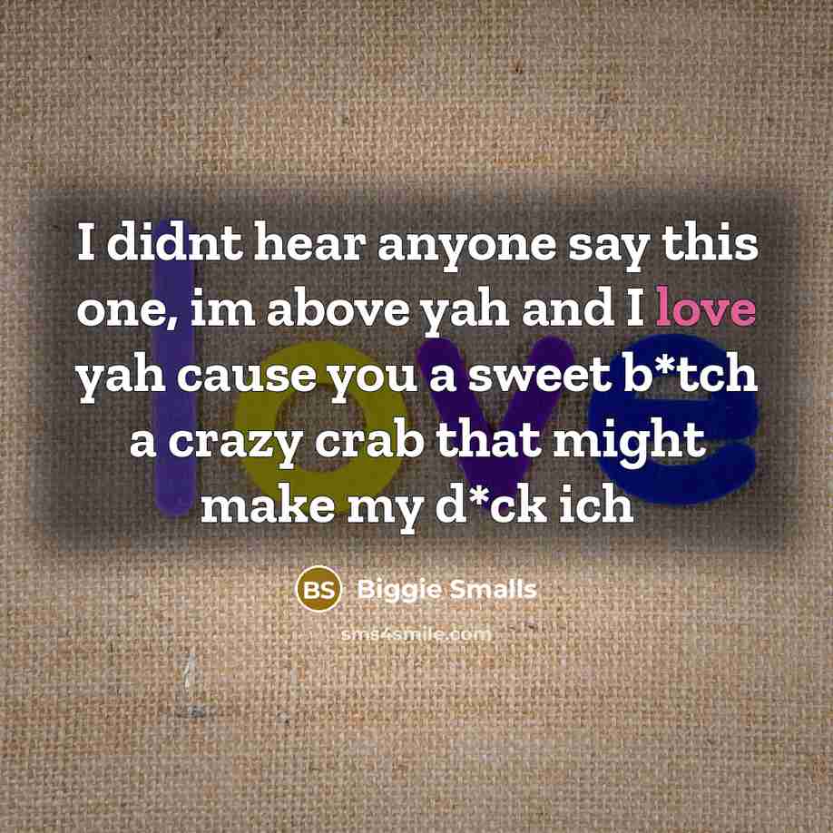 “I didnt hear anyone say this one, im above yah and I love yah cause you a sweet b*tch a crazy crab that might make my d*ck ich” quote by Biggie Smalls