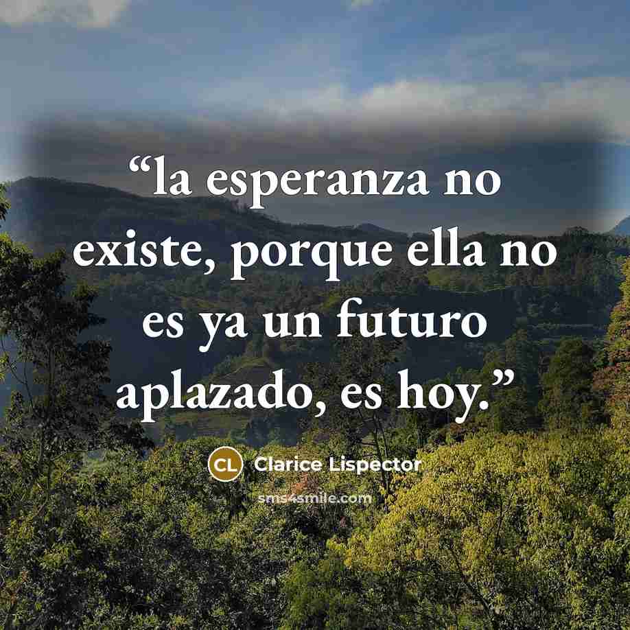 “la esperanza no existe, porque ella no es ya un futuro aplazado, es hoy.” quote by Clarice Lispector