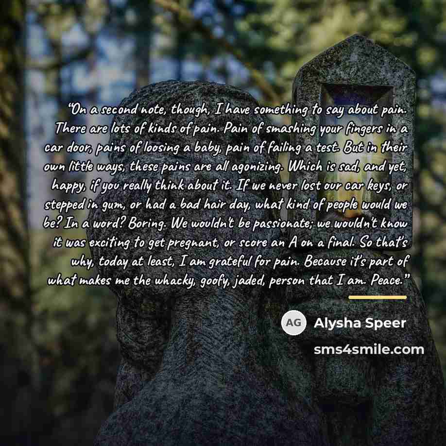 “On a second note, though, I have something to say about pain. There are lots of kinds of pain. Pain of smashing your fingers in a car door, pains of loosing a baby, pain of failing a test. But in their own little ways, these pains are all agonizing. Which is sad, and yet, happy, if you really…” quote by Alysha Speer
