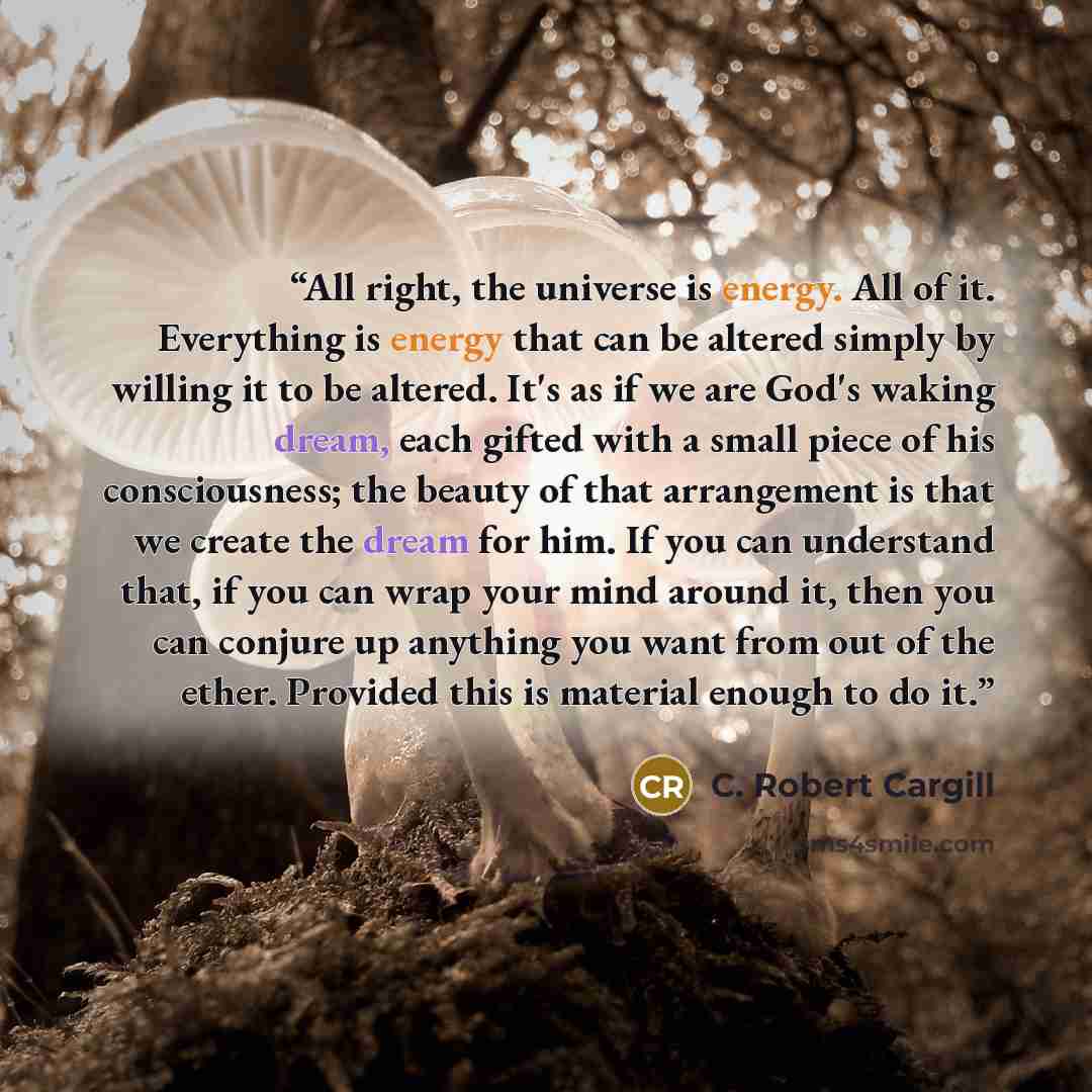 “All right, the universe is energy. All of it. Everything is energy that can be altered simply by willing it to be altered. It's as if we are God's waking dream, each gifted with a small piece of his consciousness; the beauty of that arrangement is that we create the dream for him. If you can…” quote by C. Robert Cargill