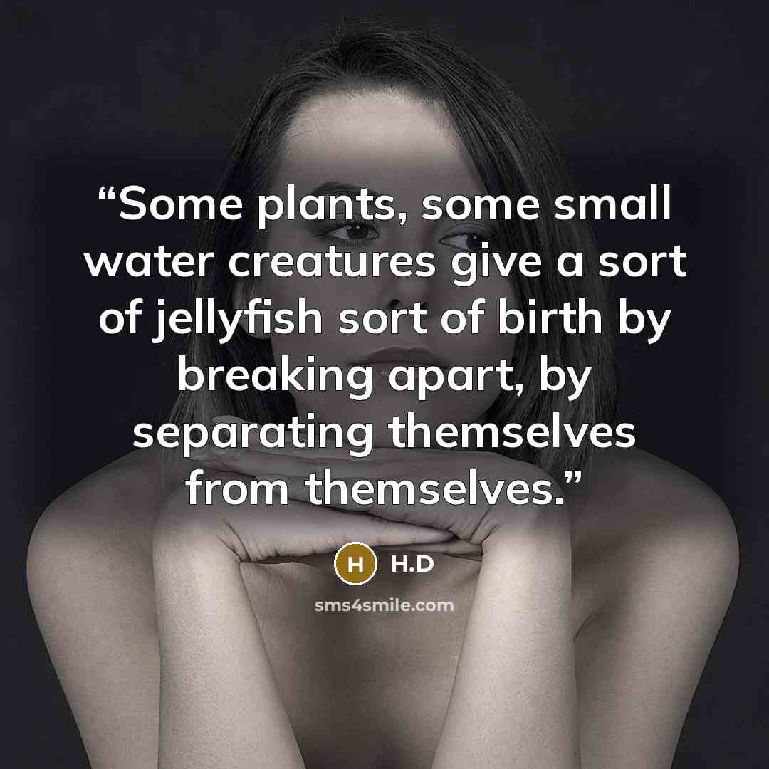“Some plants, some small water creatures give a sort of jellyfish sort of birth by breaking apart, by separating themselves from themselves.” quote by H.D