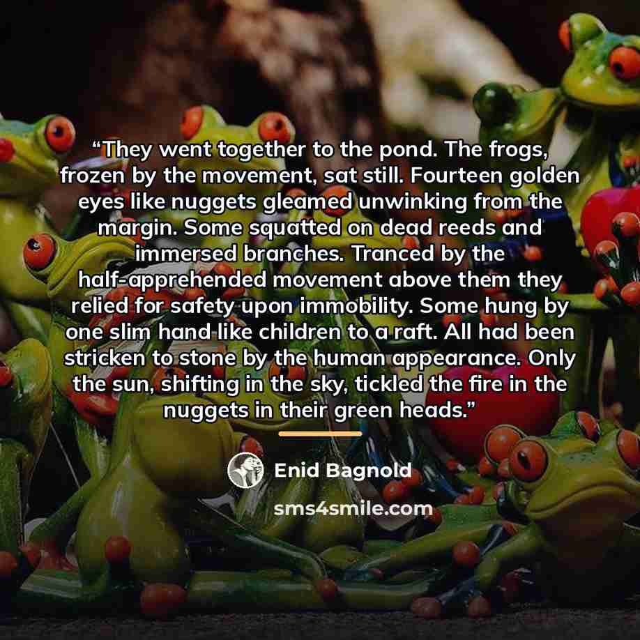 “They went together to the pond. The frogs, frozen by the movement, sat still. Fourteen golden eyes like nuggets gleamed unwinking from the margin. Some squatted on dead reeds and immersed branches. Tranced by the half-apprehended movement above them they relied for safety upon immobility. Some…” quote by Enid Bagnold