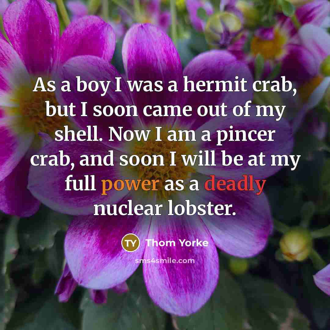 “As a boy I was a hermit crab, but I soon came out of my shell. Now I am a pincer crab, and soon I will be at my full power as a deadly nuclear lobster.” quote by Thom Yorke